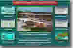 Snamprogetti Presentation